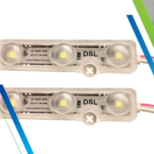 DS Injection Modules 12V