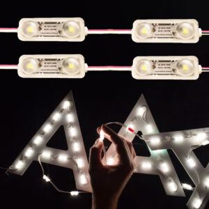 DS 2 LED Injection Module 12V